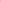 Back - Safety Pink