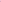 Back - Neon Pink
