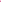 Back - Neon Pink